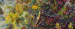 BLOMSTERLANDET