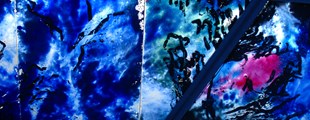 TRONDURS COSMIC ROOM