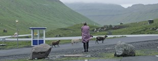 FÆRØSKE KORTFILMPERLER Nordatlantiske Filmdage