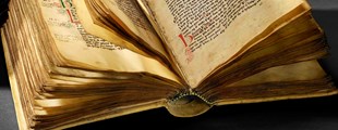 HAND AND WORD