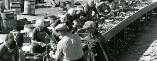 BILLEDER FRA ISLAND - Nordatlantiske Filmdage 2019