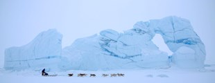 THE LAST ICE HUNTERS – Nordatlantiske Filmdage 2020