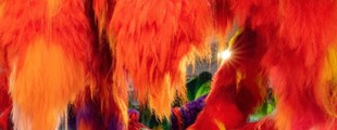 SIDSTE CHANCE: Se Nervescape IX lørdag 18. december