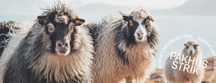 THE WOOL ISLANDS — kortfilm om færøsk uld på Pakhusstrik 2023