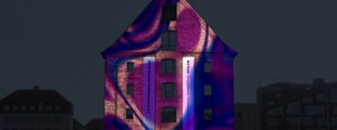 HIDDEN NATURE — Copenhagen Light Festival 2024