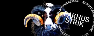 FØRERFÅR / LEADERSHEEP — gratis oplæg på Pakhusstrik 2025